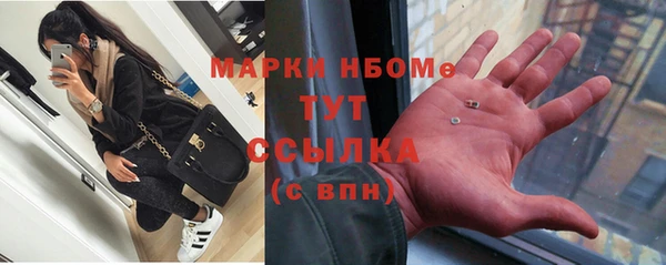 прущий лед Абаза