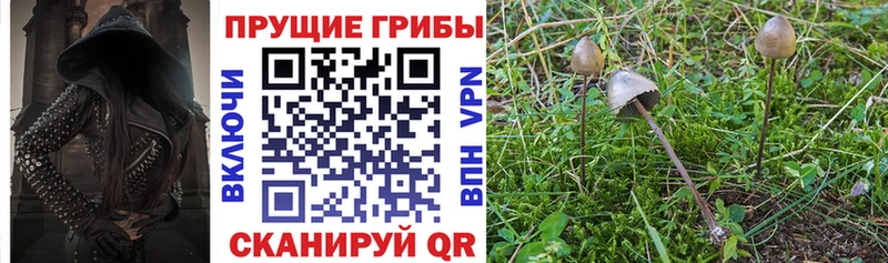 Галлюциногенные грибы Cubensis  гидра tor  Емва 